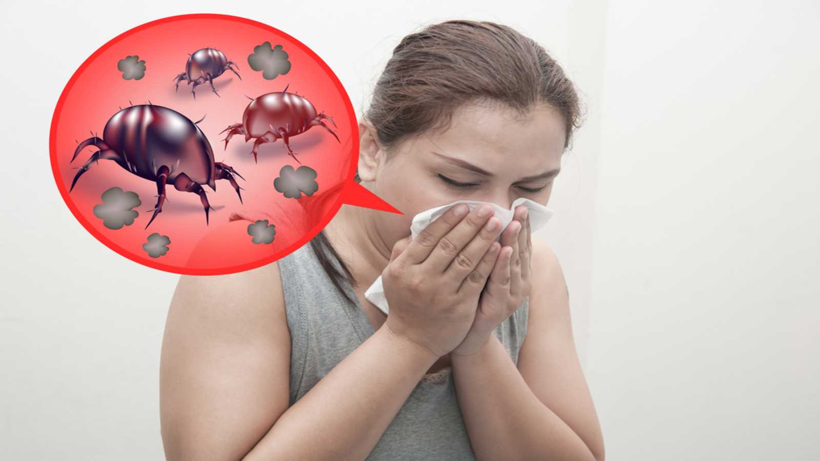 Боремся с аллергией: топ-10 очистителей воздуха