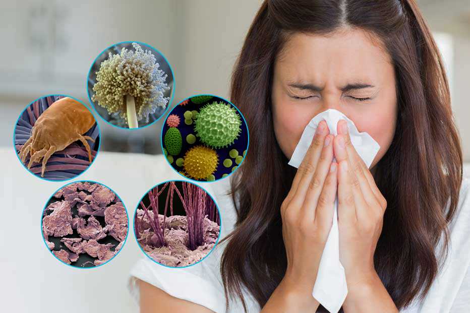Аллергия на домашнюю пыль: симптомы и методы лечения