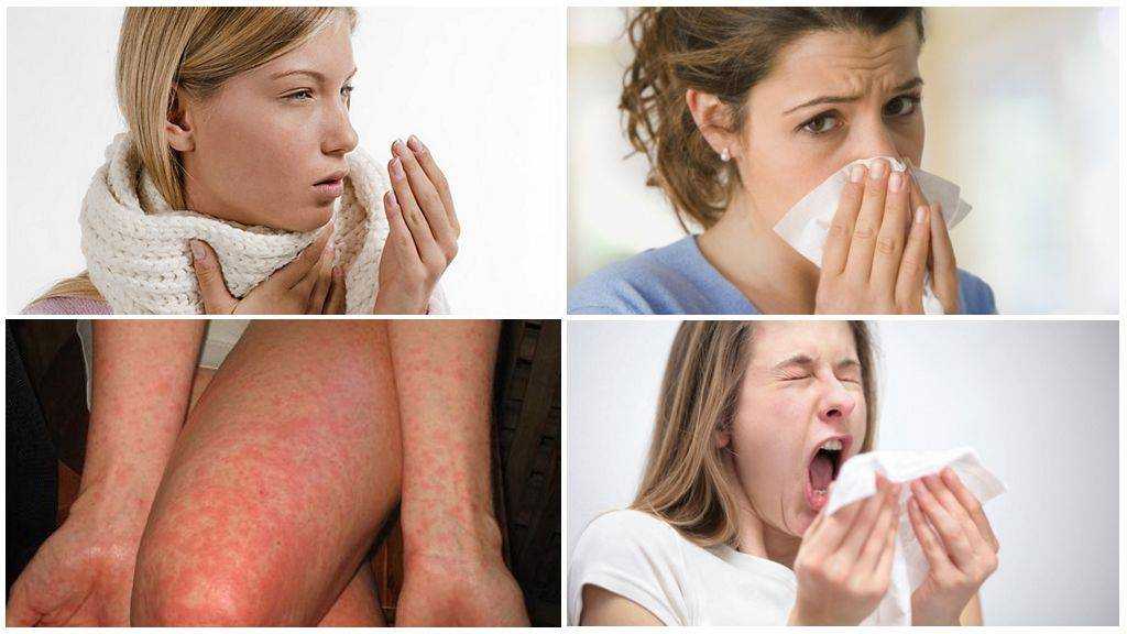 Топ-7 аллергенов в нашем доме и способы борьбы с ними