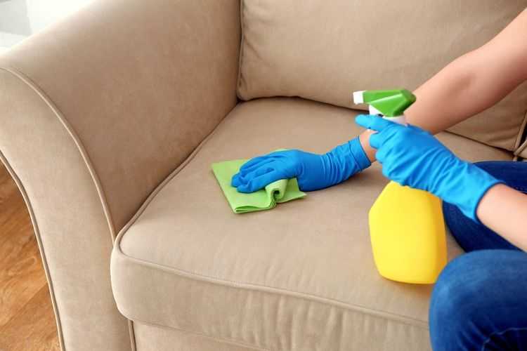 Химчистка мягкой мебели на дому: 7 причин её заказать и можно ли обойтись своими силами