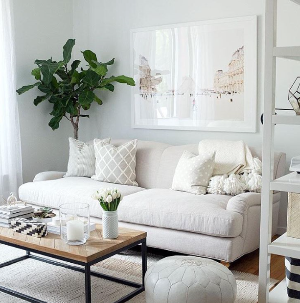 Белый диван: 105 фото различных моделей и правил их использования