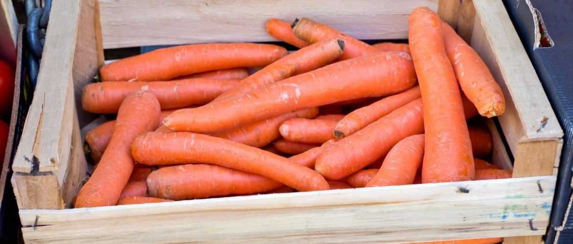 Как хранить морковь на зиму - 11 лучших способов хранения