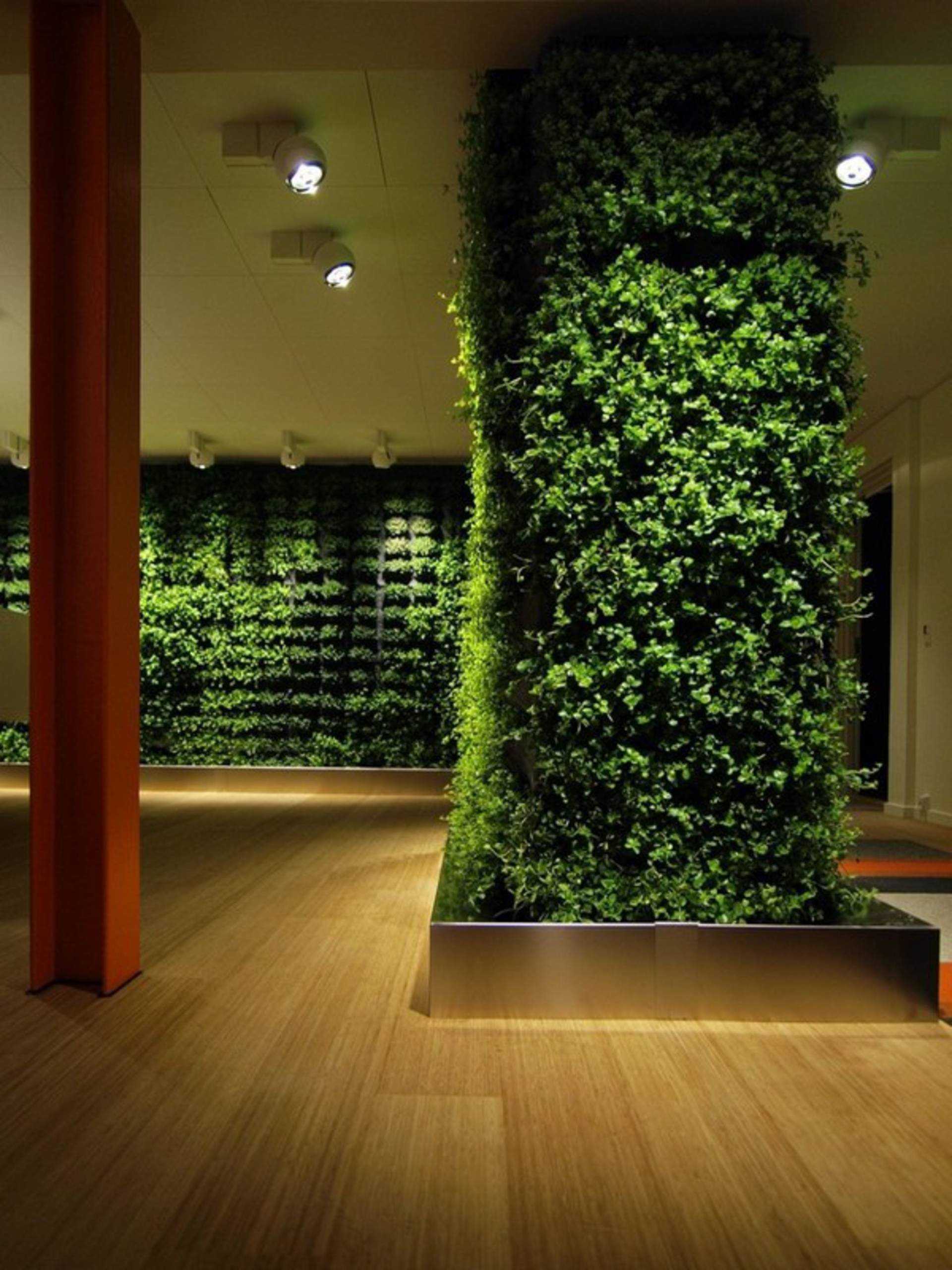 Живые картины из растений на стену (45 фото): как сделать зеленые, виды, посадка, уход