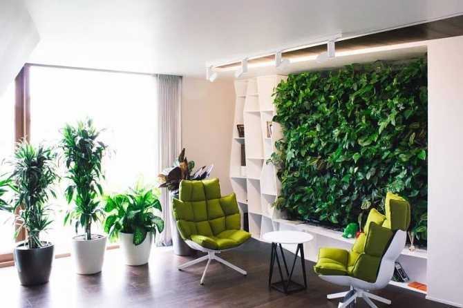 Зеленая стена из растений, искусственная трава в интерьере