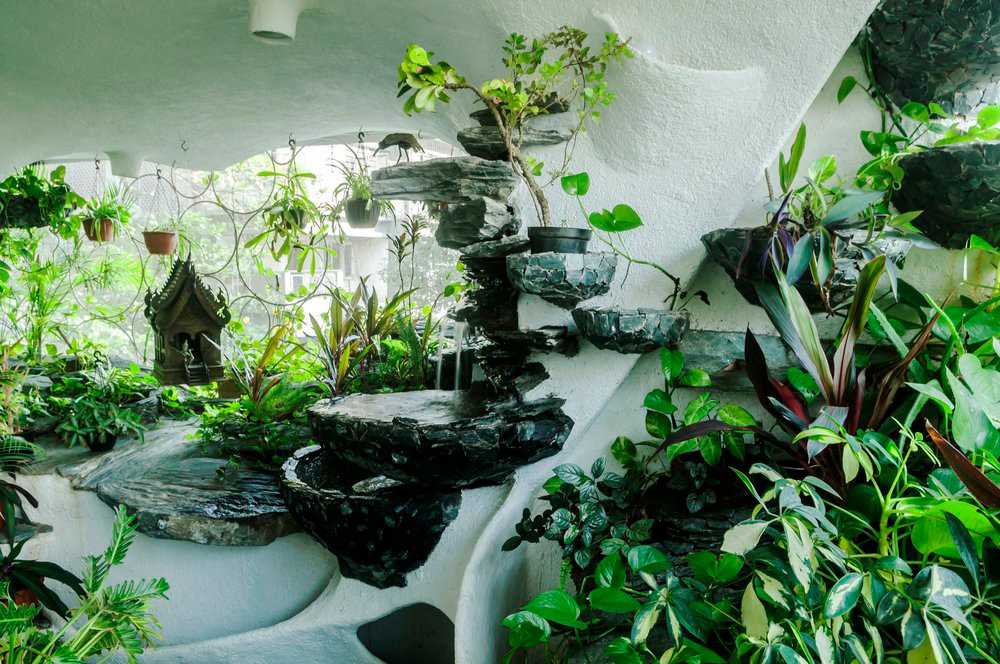 Стойкие оловянные солдатики: 16 комнатных растений, которым не нужно дополнительное освещение зимой