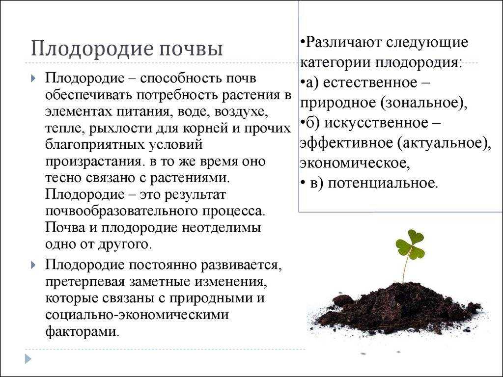 Как повысить плодородие почвы на дачном участке: агроприемы
как повысить плодородие почвы на дачном участке: агроприемы
    adblockrecovery.ru