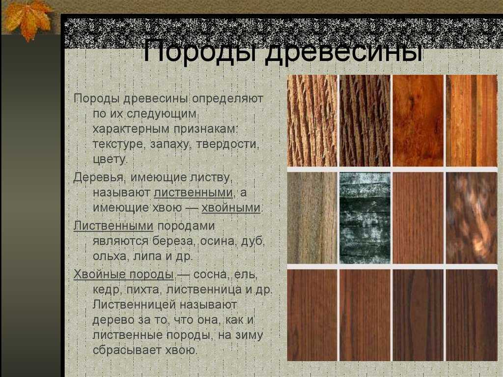 Свойства деревянных окон в зависимости о типа древесины