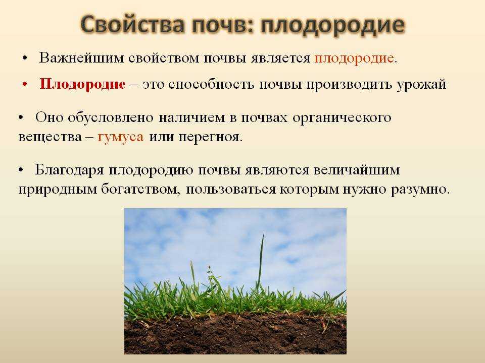 Как улучшить почву – агротехнические приемы, завоз качественного грунта