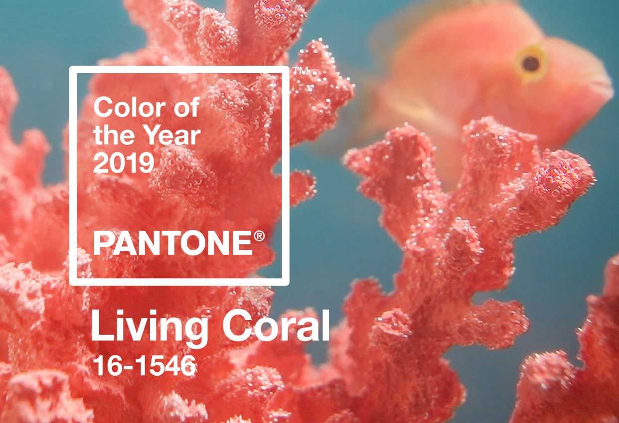 Коралловый цвет в интерьере