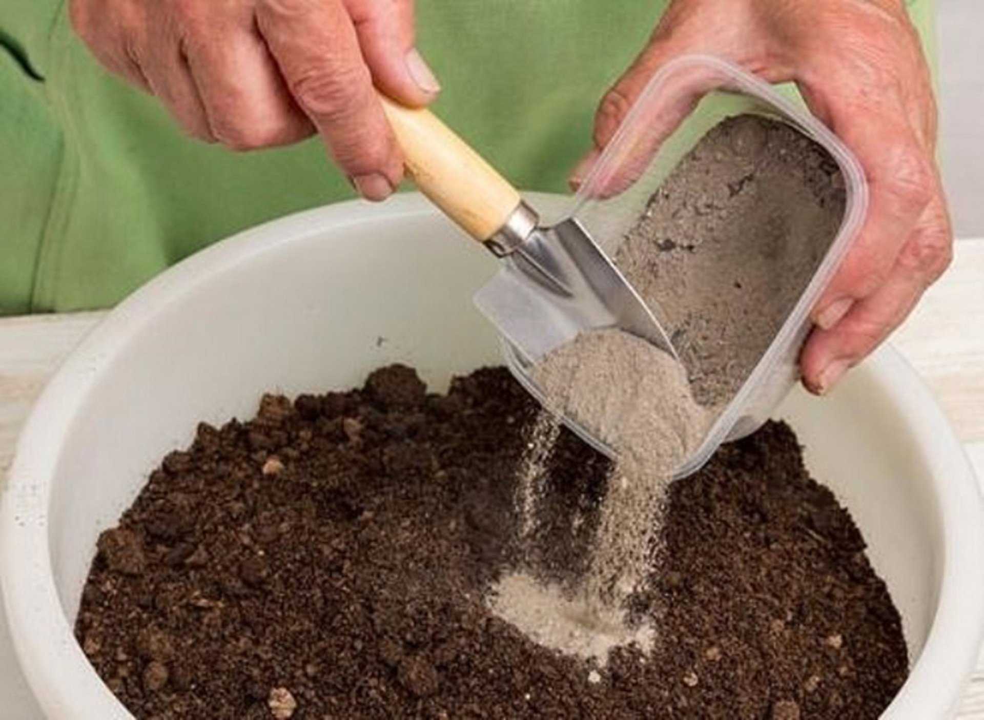Как правильно подготовить почву для рассады |
