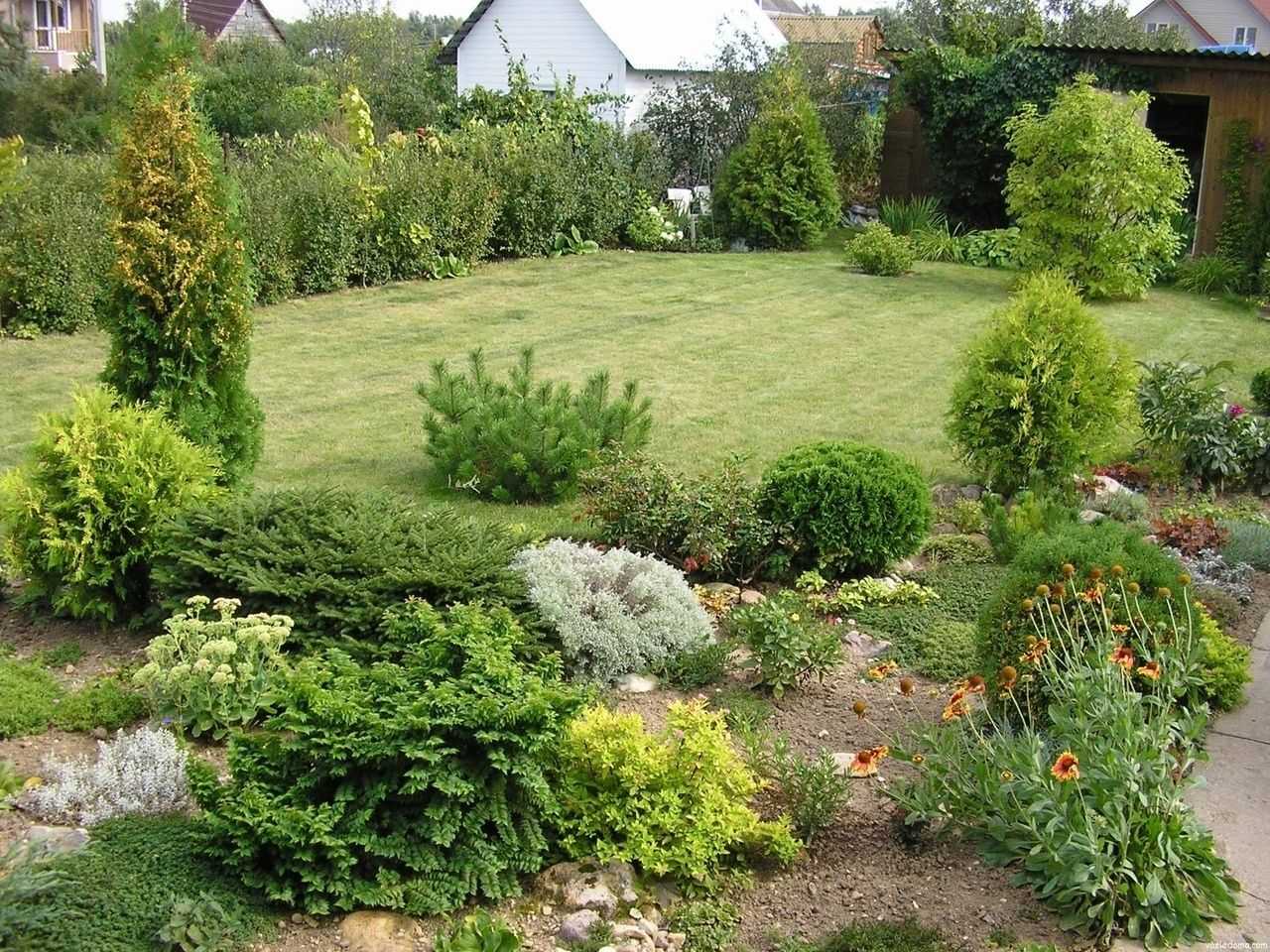 Ландшафтный дизайн садового участка с хвойными растениями фото