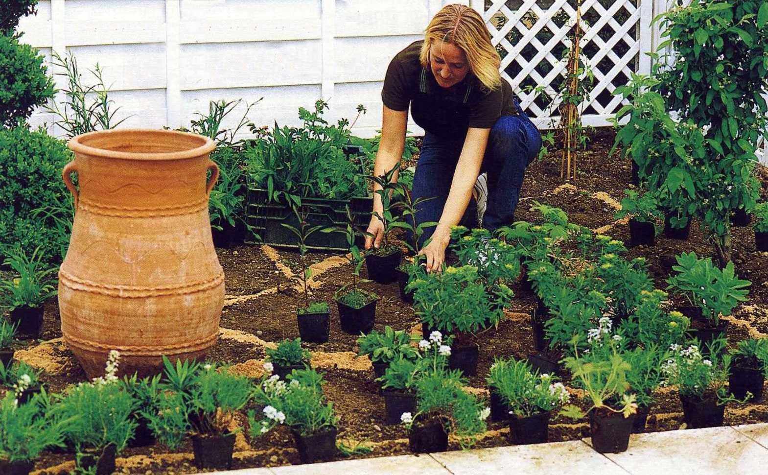 Собрали неубиваемые растения для огорода, которые принесут урожай, даже если вы забудете их полить или погода подведет