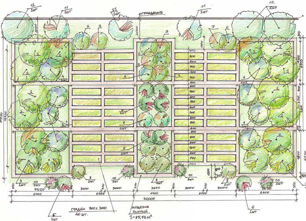 Огород на дачном участке: планировка и красивый огород своими руками (видео + 130 фото)