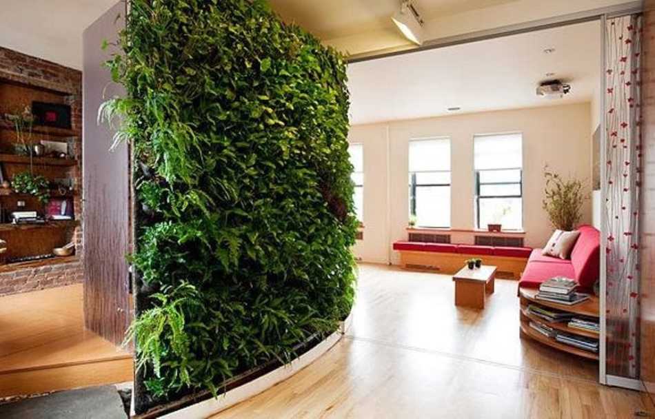 Фитодизайн, фитодизайн в интерьере современного дома, озеленение офиса или квартиры, вертикальное озеленение