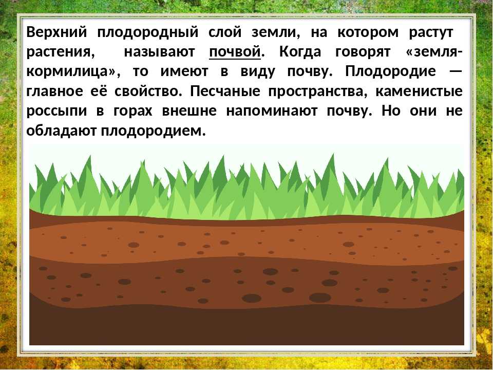 Почему влажная почва прогревается быстрее. Плодородный слой. Почва. Почва для детей. Рисунок плодородной почвы.