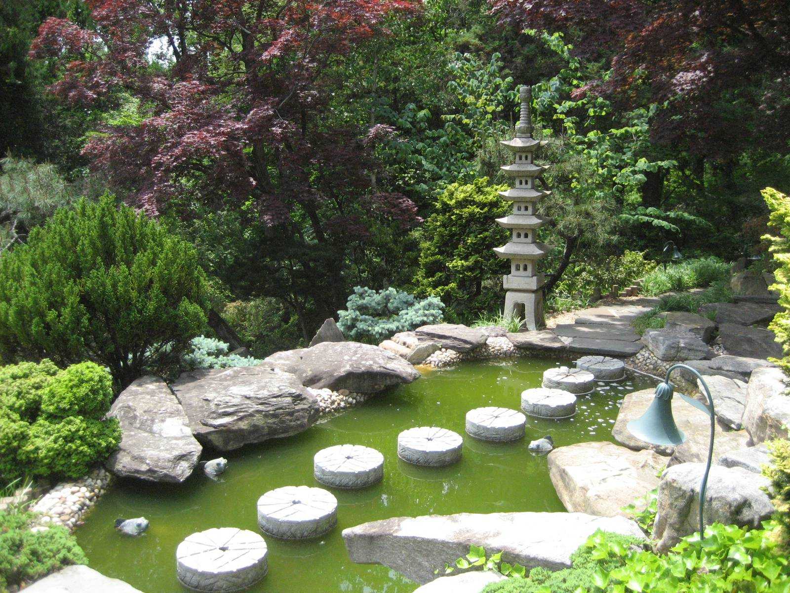 Японский сад: фото, видео