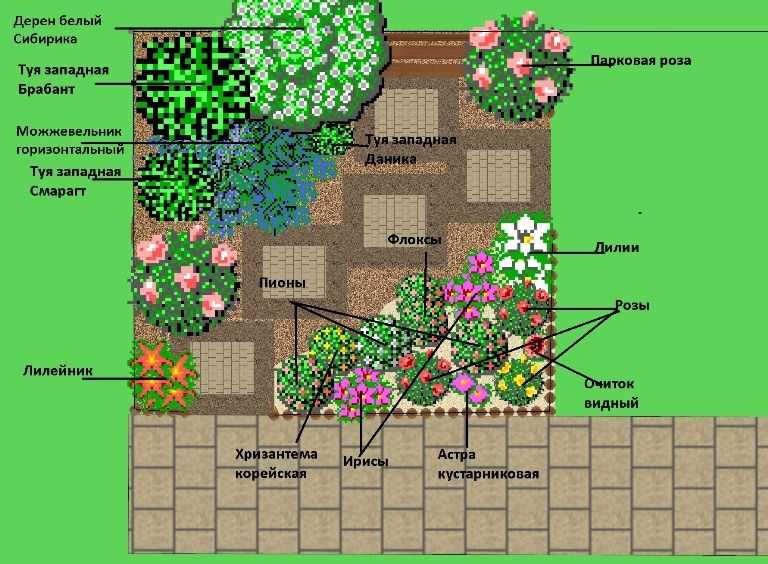 Как правильно разбить сад и огород: схемы посадки и фото участков