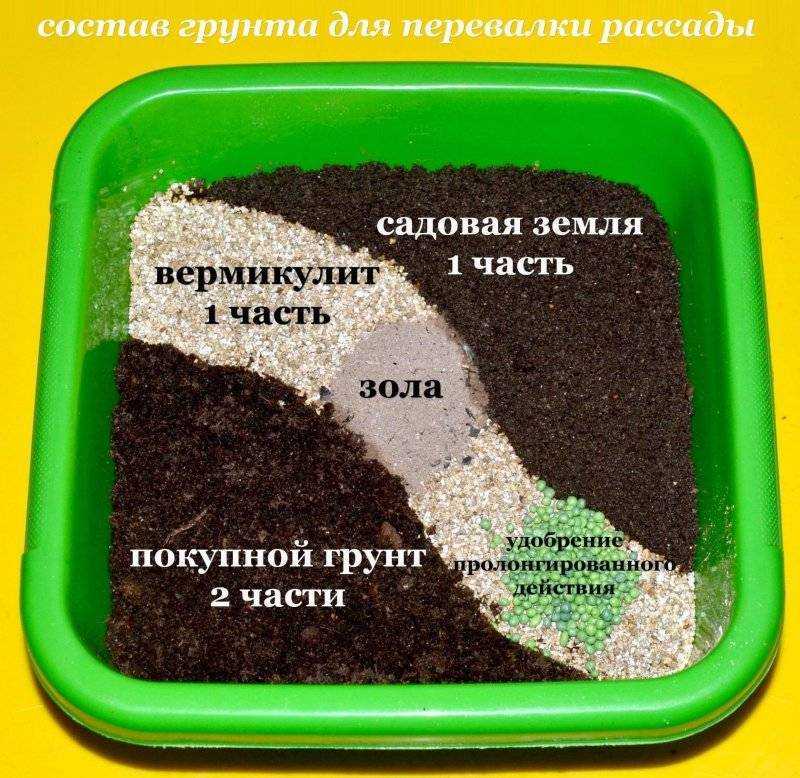 Как приготовить грунт для рассады. почвосмесь, обеззараживание, удобрение. фото — ботаничка.ru