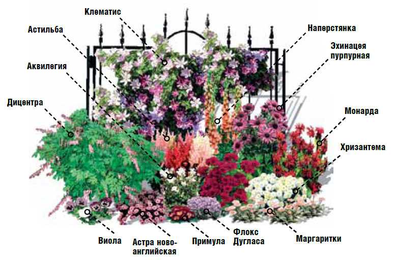 Проект клумбы: планировка цветника перед домом: схемы размещения, примеры оформления однолетниками
 - 26 фото