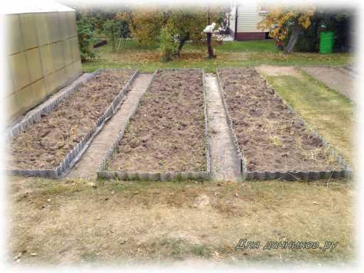 Планировка сада и огорода на участках 6, 10 и 15 соток