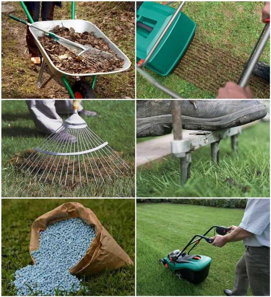 Как подготовить участок под газон: что сделать с грунтом перед посадкой