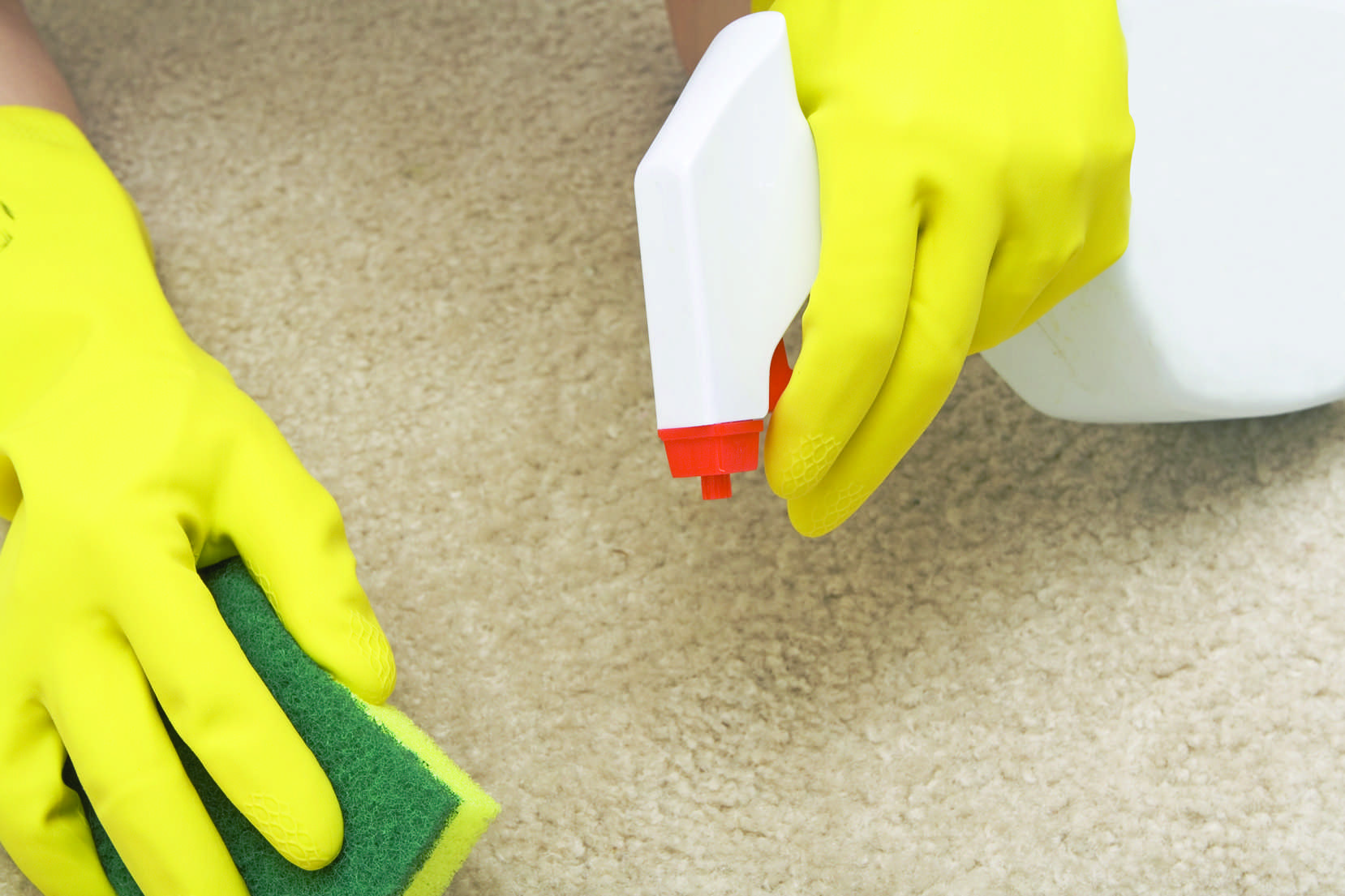 Как почистить ковер в домашних условиях быстро и эффективно – способы