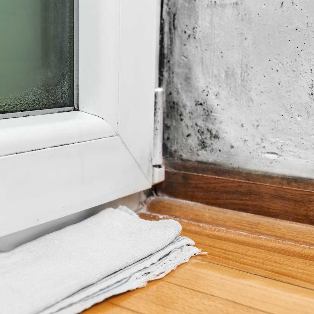 Как избавиться от грибка и плесени на окнах - советы и рекомендации