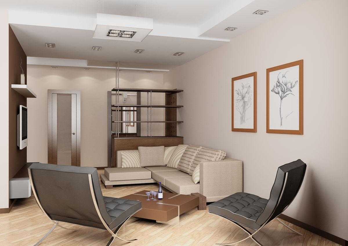 Проходная комната в квартире – 8 удачных вариантов дизайна