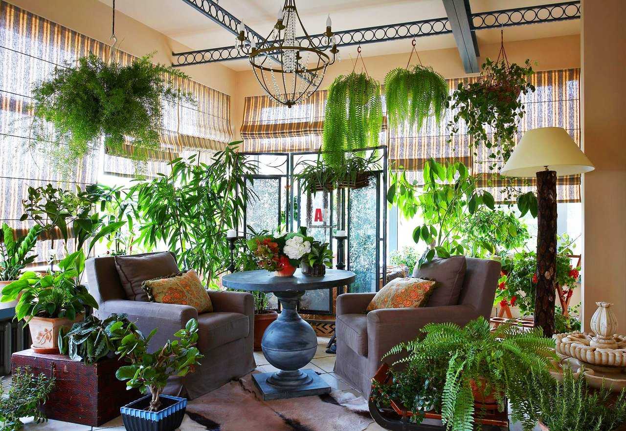 5 самых ярких комнатных растений из тропиков. список названий с фото — ботаничка.ru