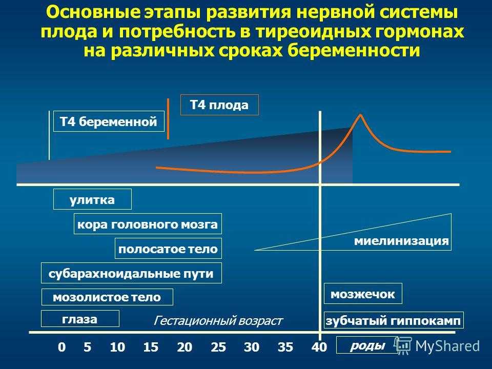Северная комната: выбор цвета для дизайна интерьера, обои, мебель