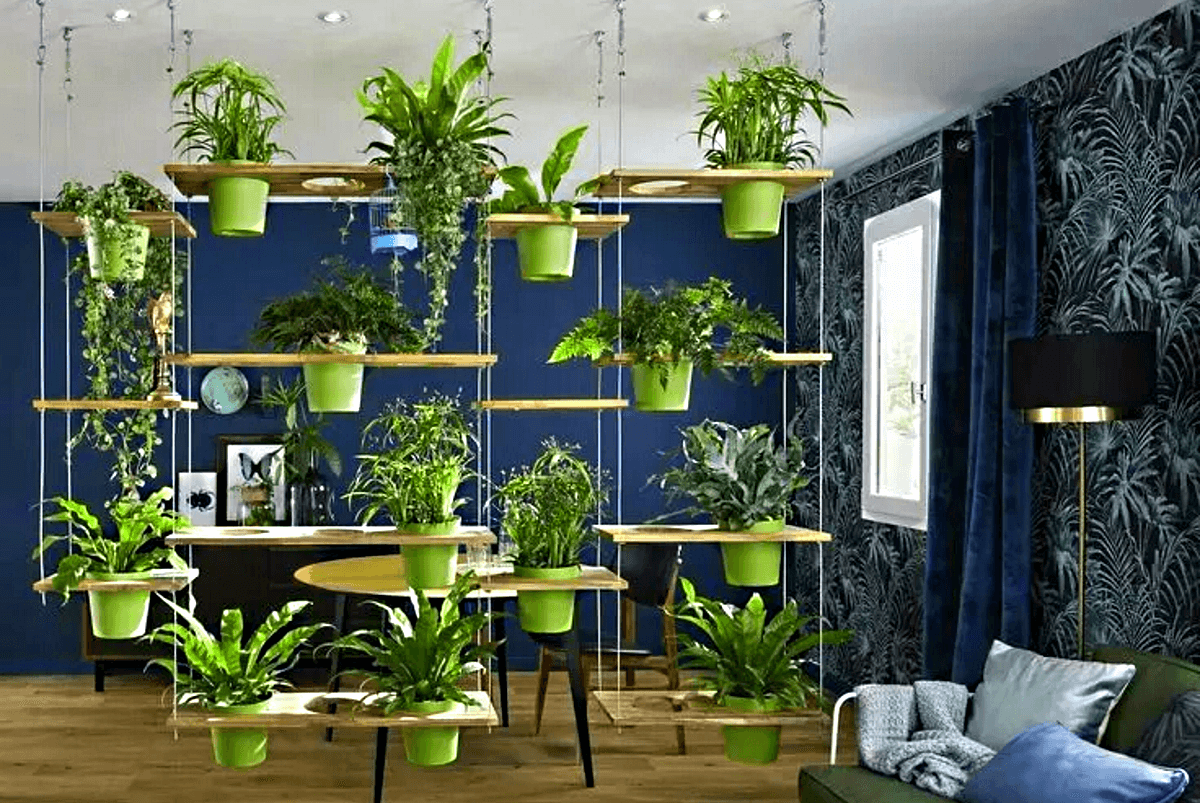 Комнатные растения очищающие воздух в квартире