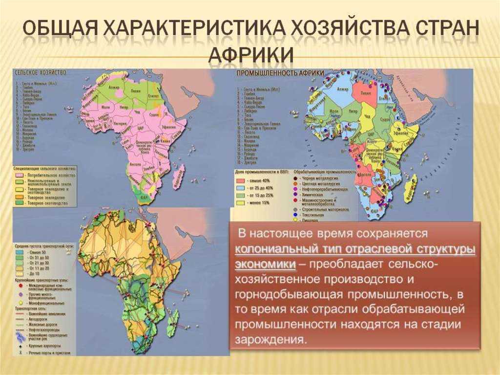 Специализация восточной африки. Отрасли специализации сельского хозяйства Африки. Сельское хозяйство Африки карта. Колониальный Тип отраслевой структуры хозяйства Африки. Хозяйства старн Африки.