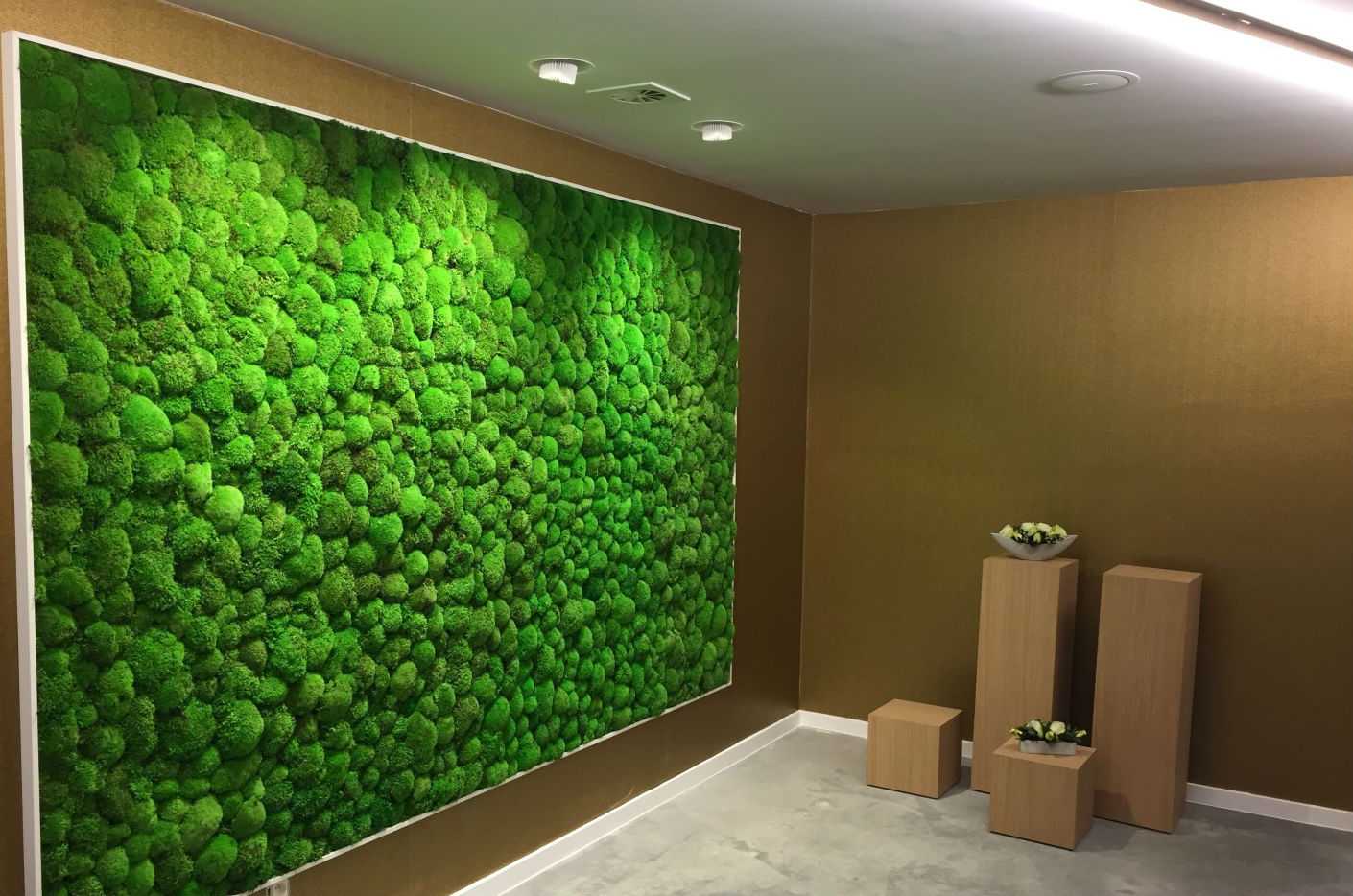 Живая стена из растений в квартире: как сделать, как ухаживать