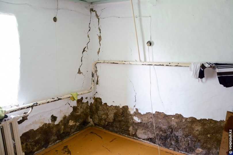 Воняет стена. Квартира после затопления. Стены после потопа. Просушка квартиры после затопления. Затопило квартиру.