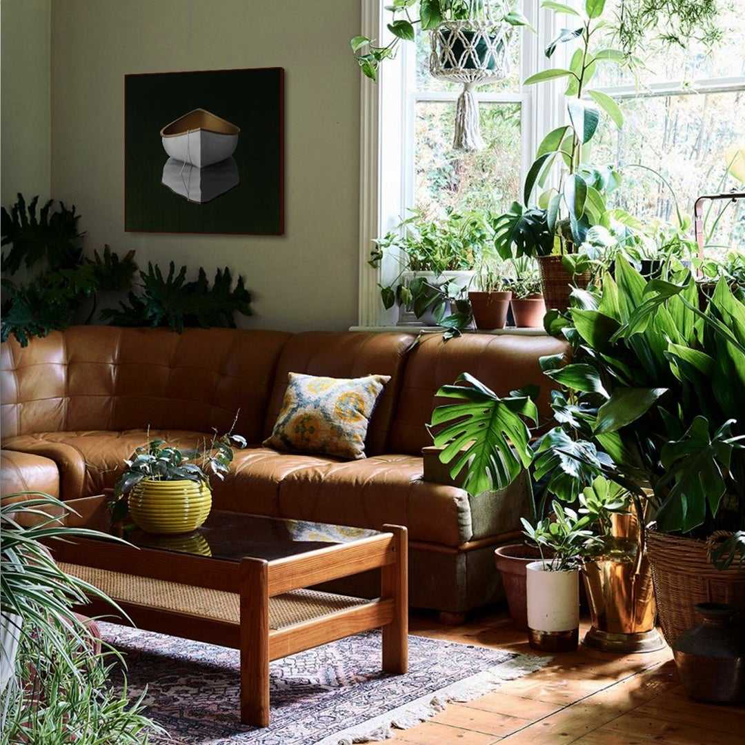 Дизайн сада в доме - идеи и выбор растений для них. | домовой | дизайн интерьера и ремонт