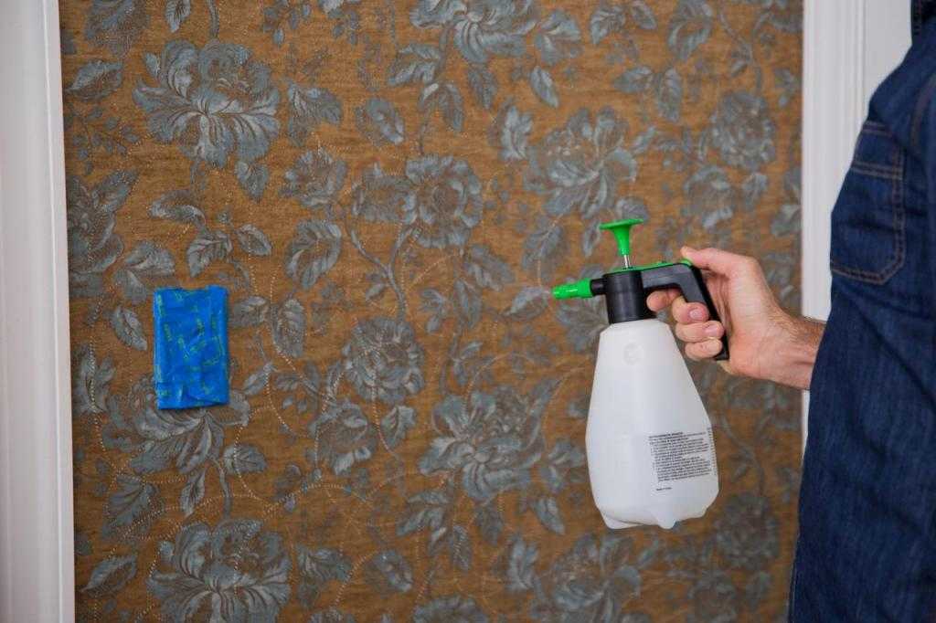 Как снять со стены жидкие обои: видео и как снимать, как удалить жидкостью своими руками, как убрать старые
