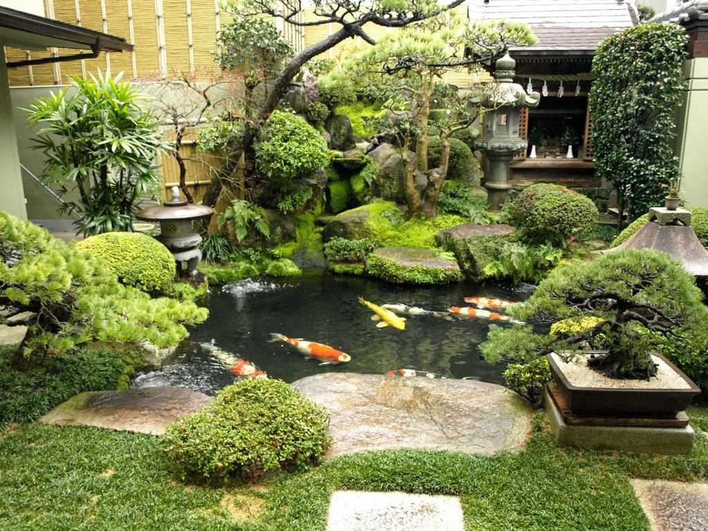 Японский сад: особенности стиля, выбор растений, принципы организации пространства