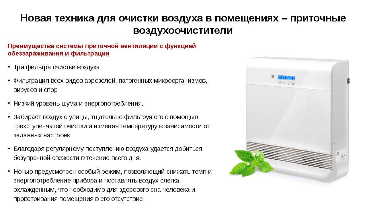 7 эффективных способов очистить воздух в доме - archidea.com.ua