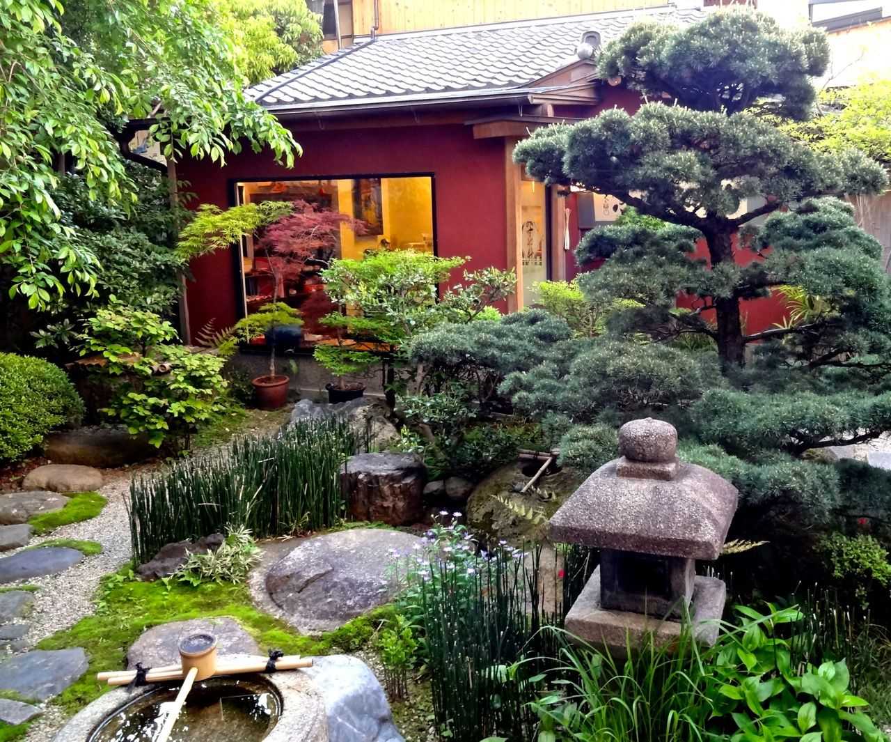 Японский сад: основные характеристики и советы как создать своими руками восточный сад
