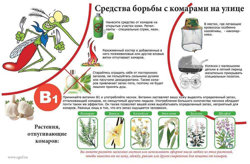 Какие растения помогут отпугнуть комаров?
