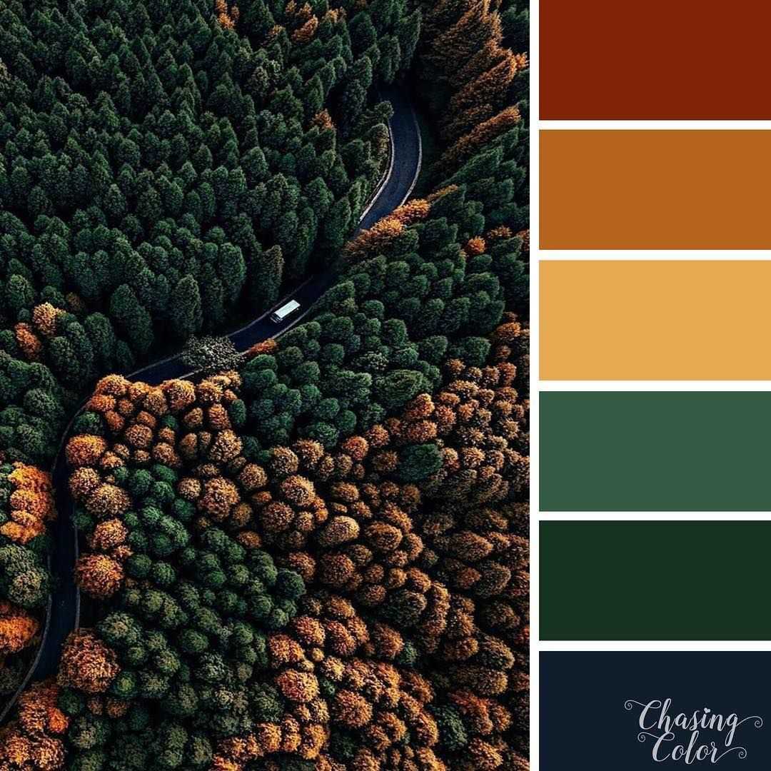 Изумрудный цвет в интерьере: с какими цветами он сочетается? (50 фото) | дизайн и интерьер