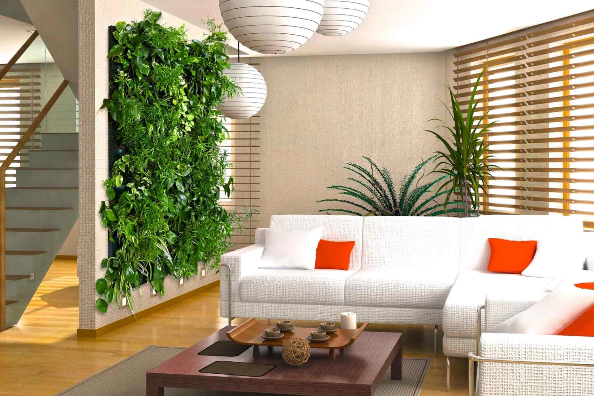 Комнатные растения и цветы в интерьере жилого дома: проект для гостиной .