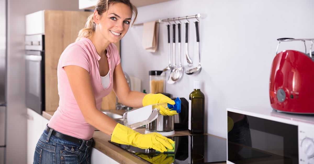 Описание системы уборки дома флай леди и особенности для работающих