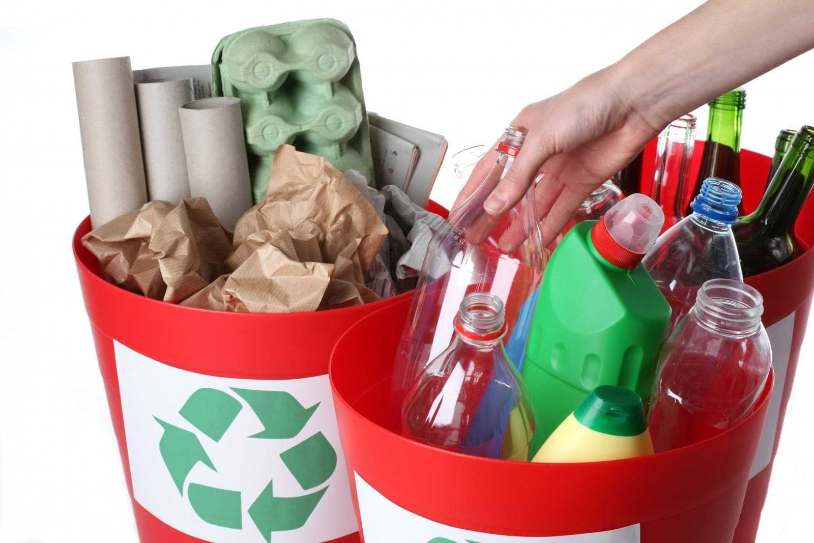 We should recycle. Сортировка мусора. Сортировка и утилизация мусора. Утилизация бытовых отходов. Сортировка пластикового мусора.