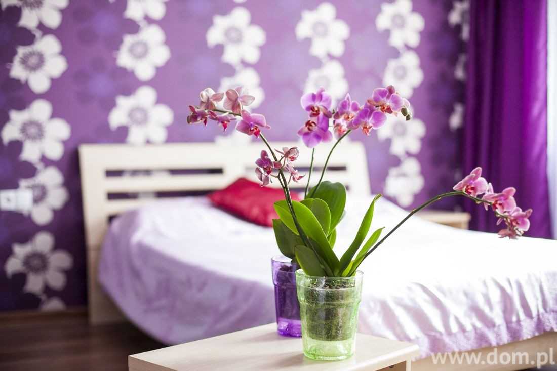 Как правильно расставить комнатные цветы в квартире – как красиво разместить комнатные цветы в квартире