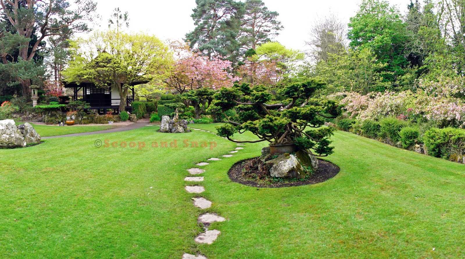 Японский сад – изучаем традиции, соблюдаем тонкости