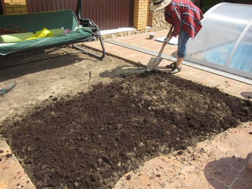 Что любит сырость? подборка растений для влажной почвы