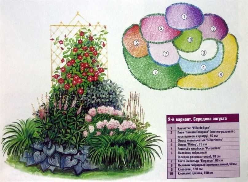 Цветы для клумбы: советы по выбору и особенности посадки разных видов растений для клумбы (145 фото и видео)