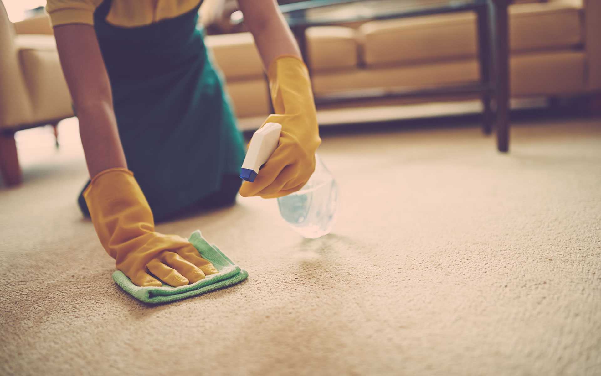 Чистка ковролина: секреты и особенности чистки ковровых покрытий