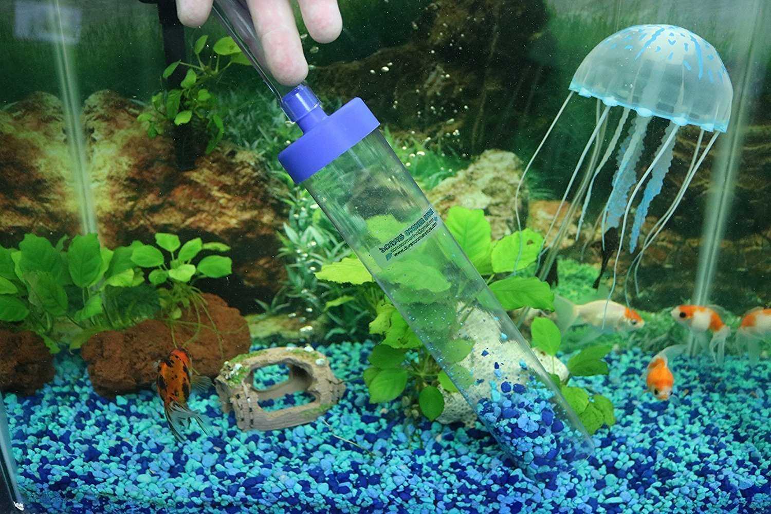 Как чистить аквариум? - xclean.info